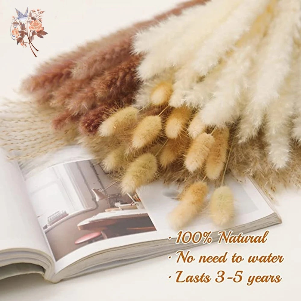 Pampasgras & Hasenschwanz 100 Stück - Trockenblumen für Vase & Boho-Deko