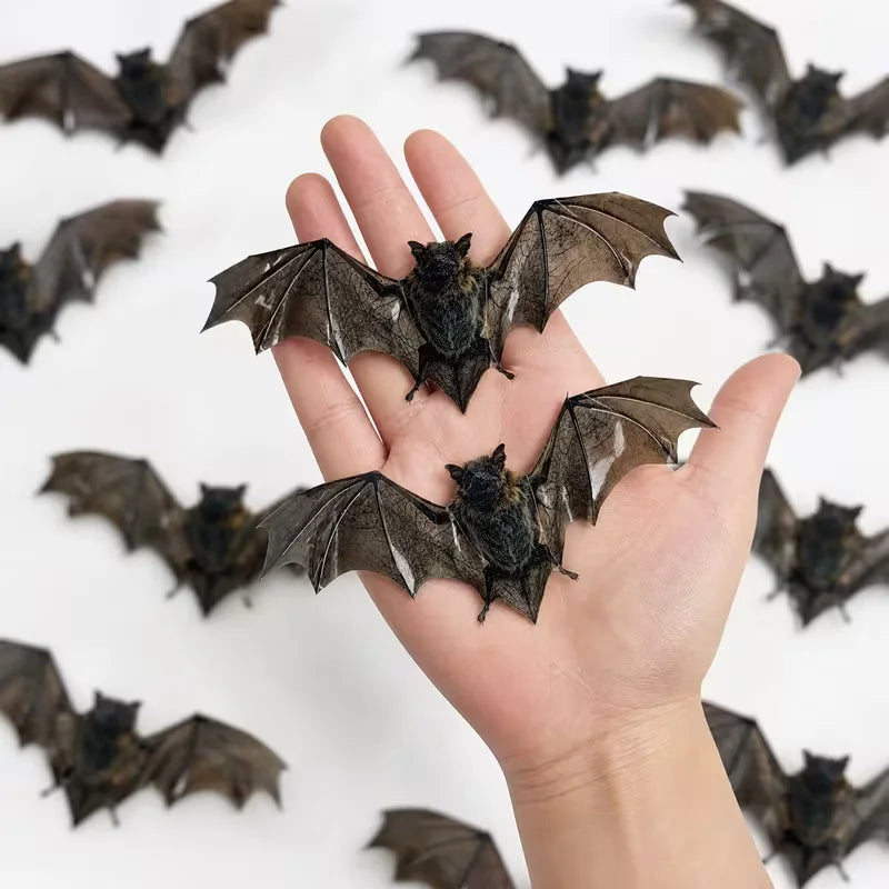3D-Fledermäuse 12er-Set - Halloween Wanddeko mit Klebepunkten