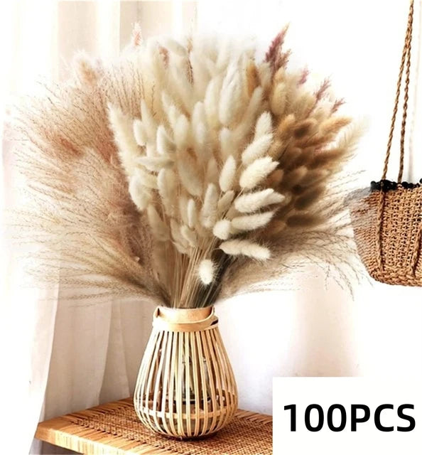Pampasgras & Hasenschwanz 100 Stück - Trockenblumen für Vase & Boho-Deko