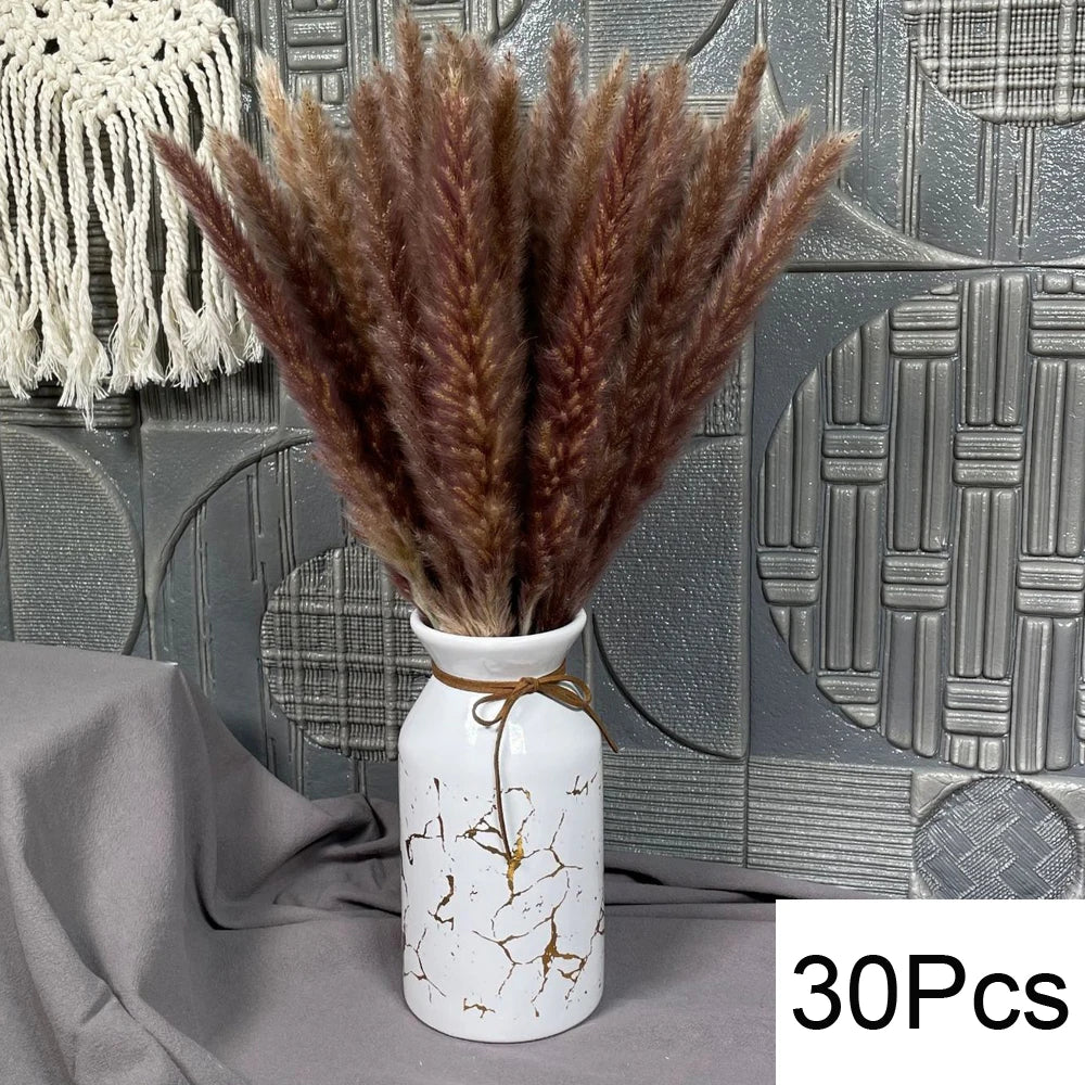 Pampasgras & Hasenschwanz 100 Stück - Trockenblumen für Vase & Boho-Deko