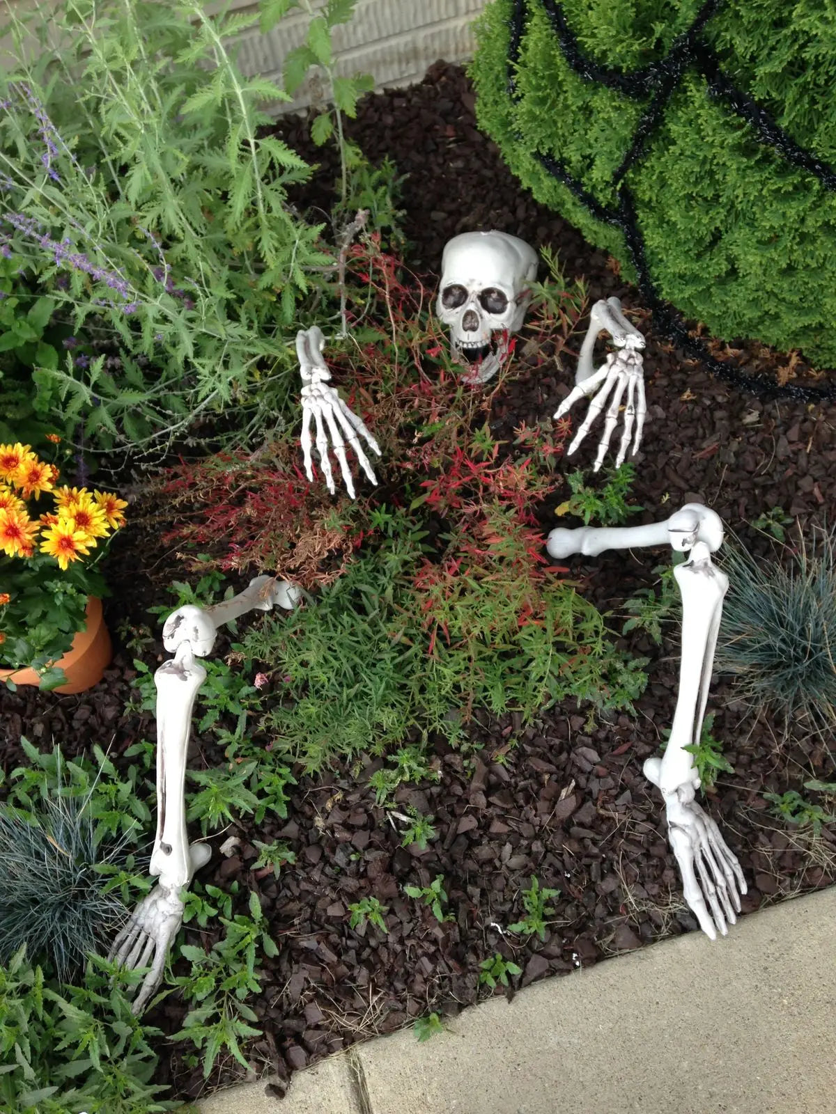 Skelett-Set 3-teilig - Totenkopf & Arme mit Erdspieß für Garten & Rasen