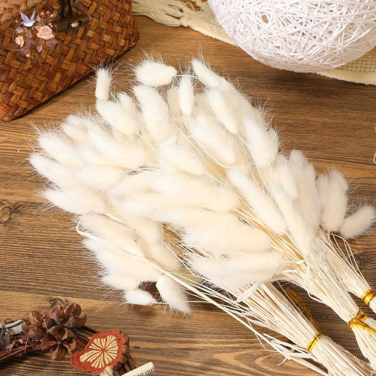 Hasenschwanzgras 50 Stück - Getrocknete Lagurus für Vase & Boho-Deko