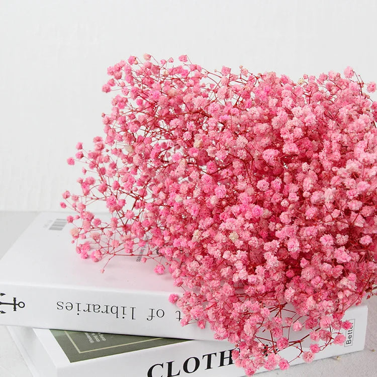 Trockenblumen Schleierkraut 60 g - Getrocknete Gypsophila für Vase & Deko