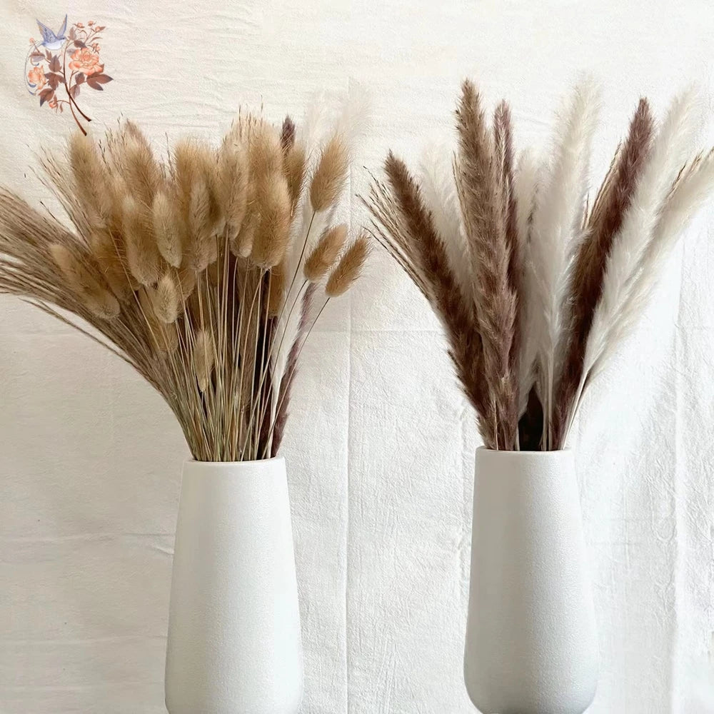 Pampasgras & Hasenschwanz 100 Stück - Trockenblumen für Vase & Boho-Deko