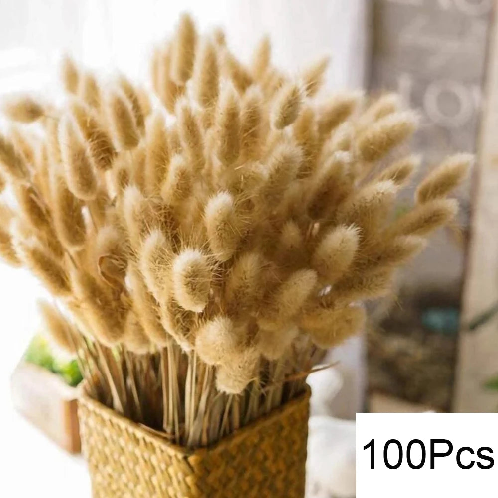 Pampasgras & Hasenschwanz 100 Stück - Trockenblumen für Vase & Boho-Deko