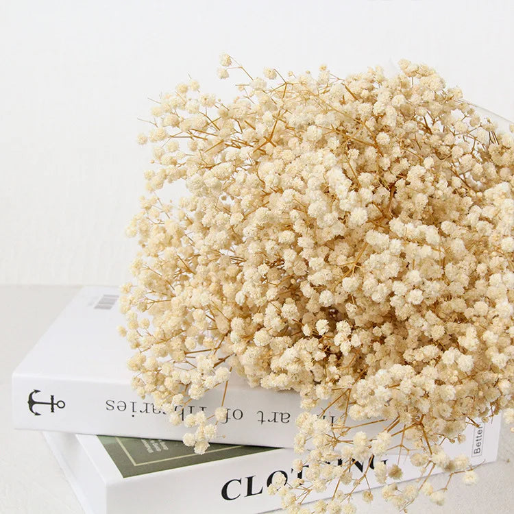 Trockenblumen Schleierkraut 60 g - Getrocknete Gypsophila für Vase & Deko