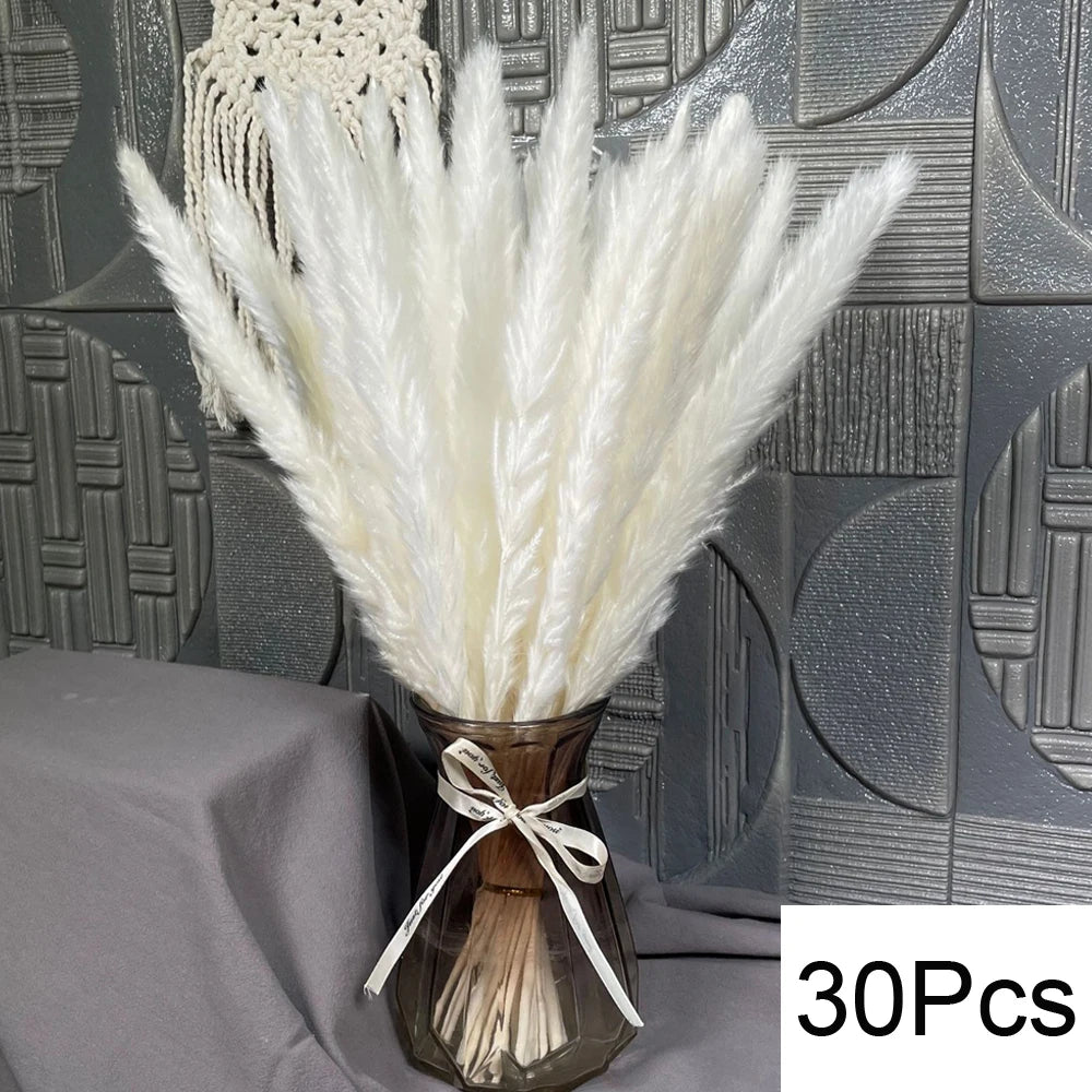 Pampasgras & Hasenschwanz 100 Stück - Trockenblumen für Vase & Boho-Deko