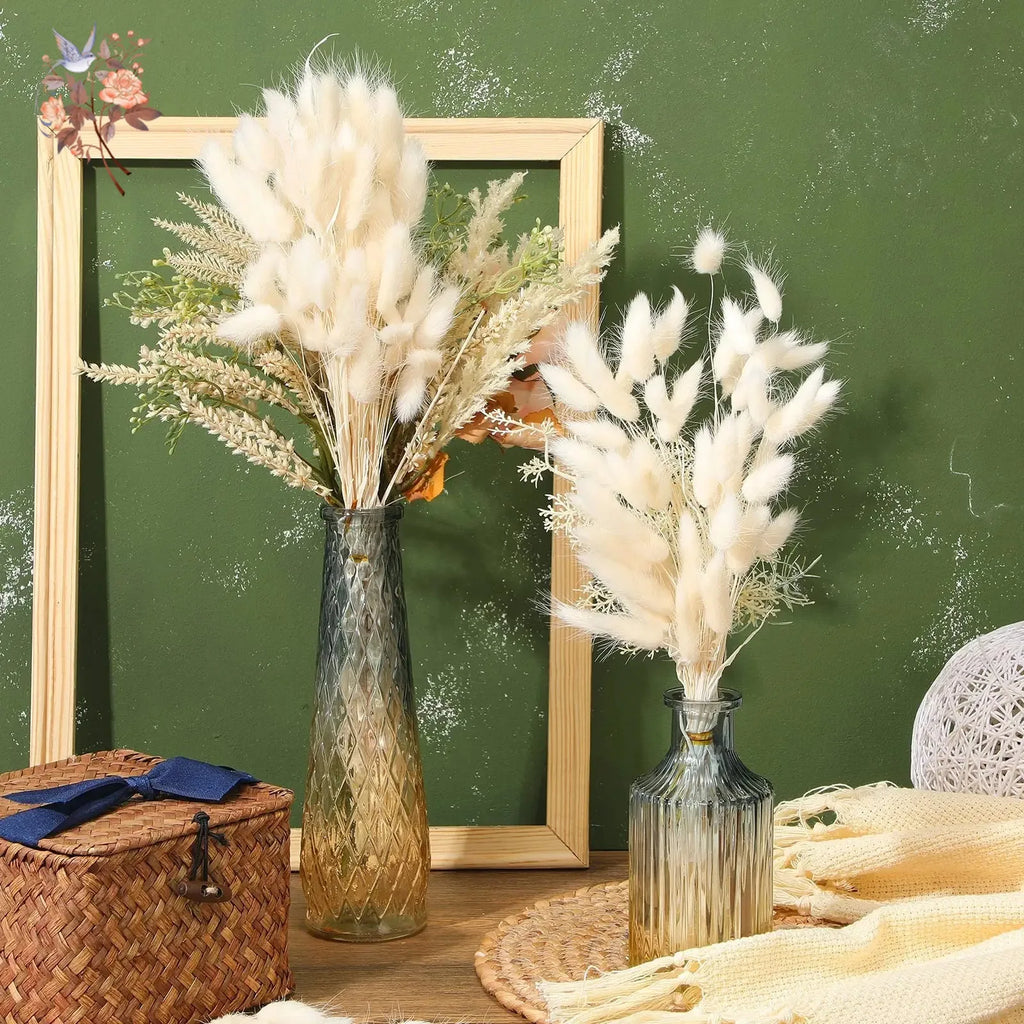 Hasenschwanzgras 50 Stück - Getrocknete Lagurus für Vase & Boho-Deko