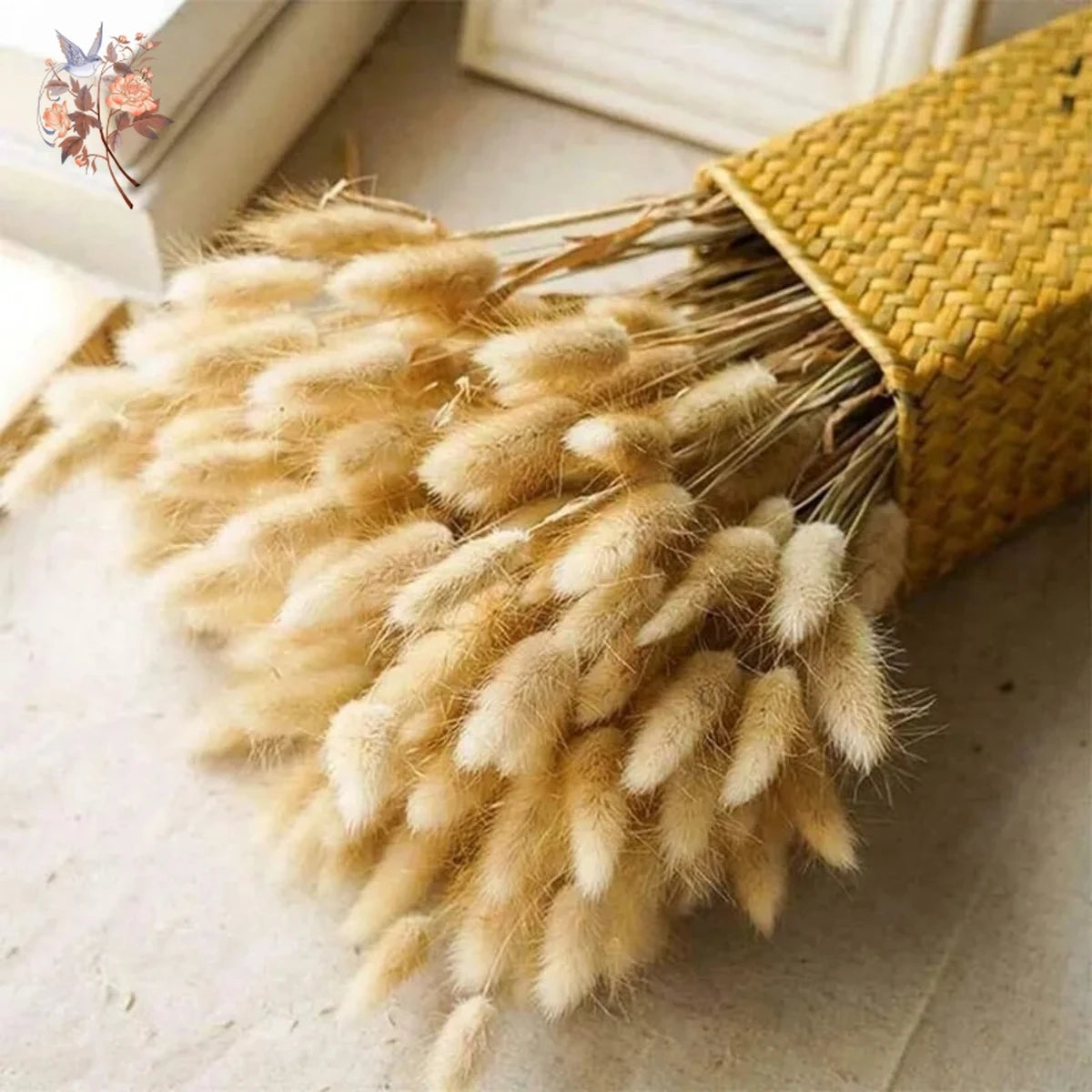 Hasenschwanzgras 50 Stück - Getrocknete Lagurus für Vase & Boho-Deko